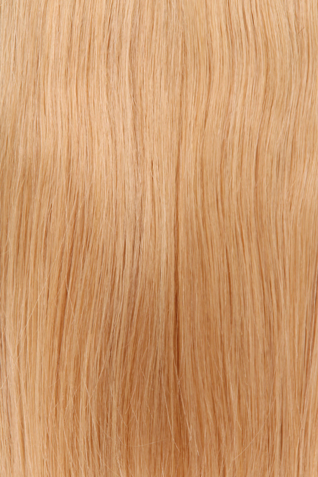 Deluxe Head Clip-In Dark Blonde #18 Hair Extensions