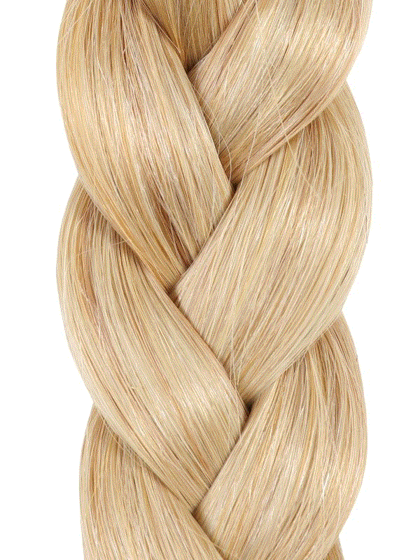 24" Project A Plait Ponytail extension made of Indian Remy human hair braided into a sleek ponytail