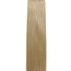 Sandy Blonde