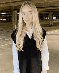 Deluxe Head Clip-In Honey Blonde #22 Hair Extensions