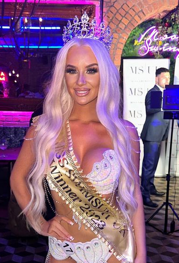 Premium Head Clip-In Ash Blonde Hair Extensions