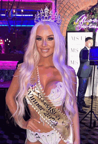 VIP Seamless Clips Ash Blonde Hair Extensions