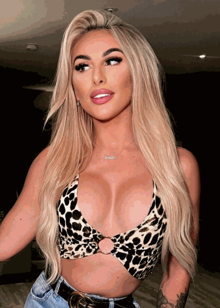 Deluxe Head Clip-In Hollywood Blonde #22/60/Ash Hair Extensions