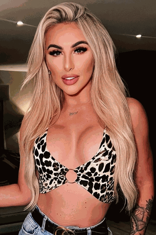 Deluxe Head Clip-In Hollywood Blonde #22/60/Ash Hair Extensions