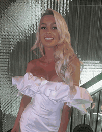 VIP Seamless Clips Ash Blonde Hair Extensions